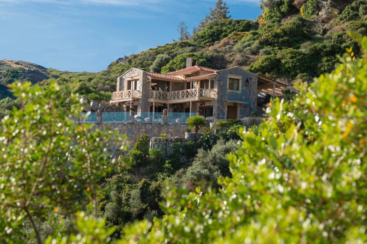 Felini Palace Αγία Πελαγία  Εξωτερικό φωτογραφία